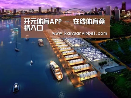 案例展示八